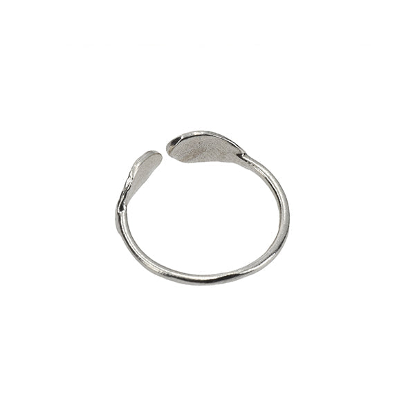 Twin wings ring